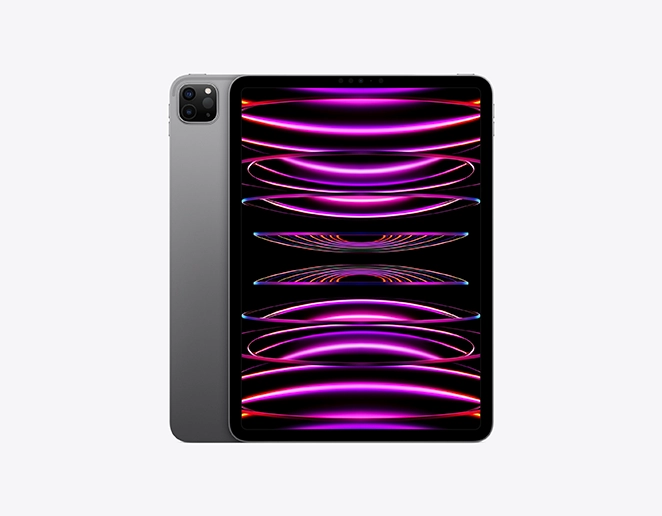 IPAD PRO 12.9 WF CL 2T GRY