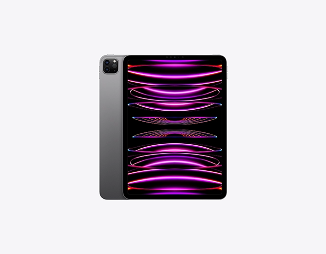 IPAD PRO 12.9 WIFI 256GB GRAY