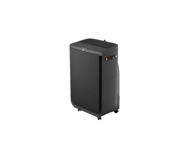 Electrolux Hava Temizleyici
