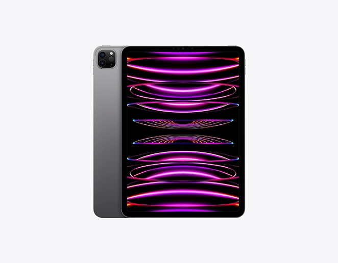 IPAD PRO 11 WF CL 2T GRY