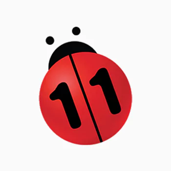 n11